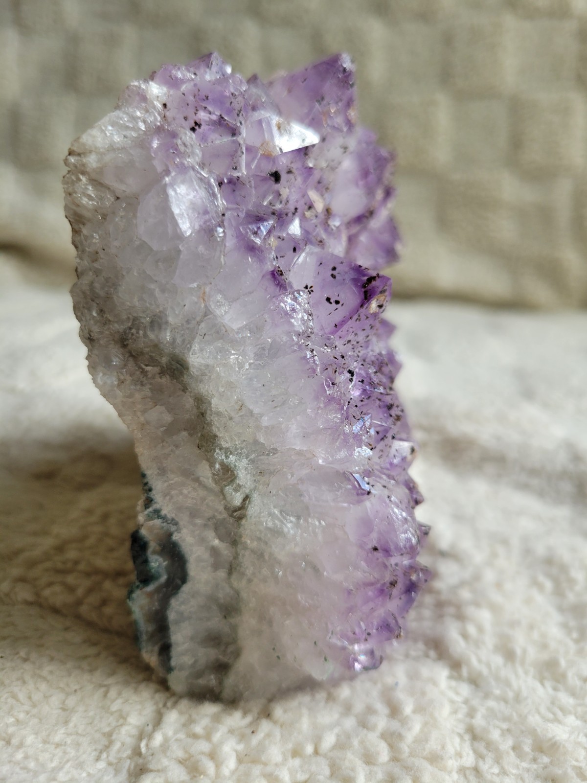 4.3 LB Standing Amethyst Cluster, Brazilian Druzy Geode w Cut Base