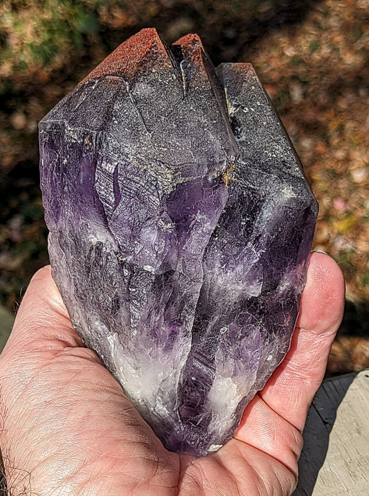 5″ Auralite 23 Red Hematite Cap Thunder Bay Amethyst Root. Quad Pointed.