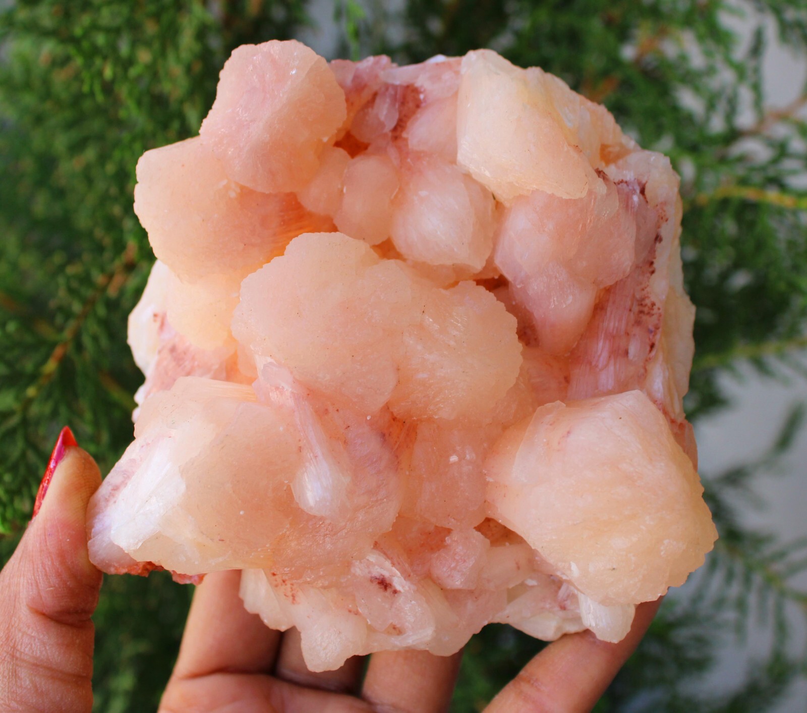 Stilbite Format On Matrix Minerals Specimen #M55