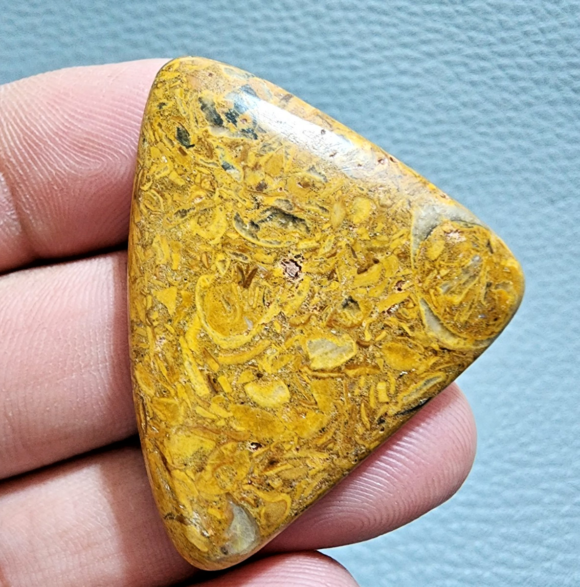 61 Crt Rare Quality Mariyam Jasper Palm Stone Cabochon Loose Gemstone Jewelry