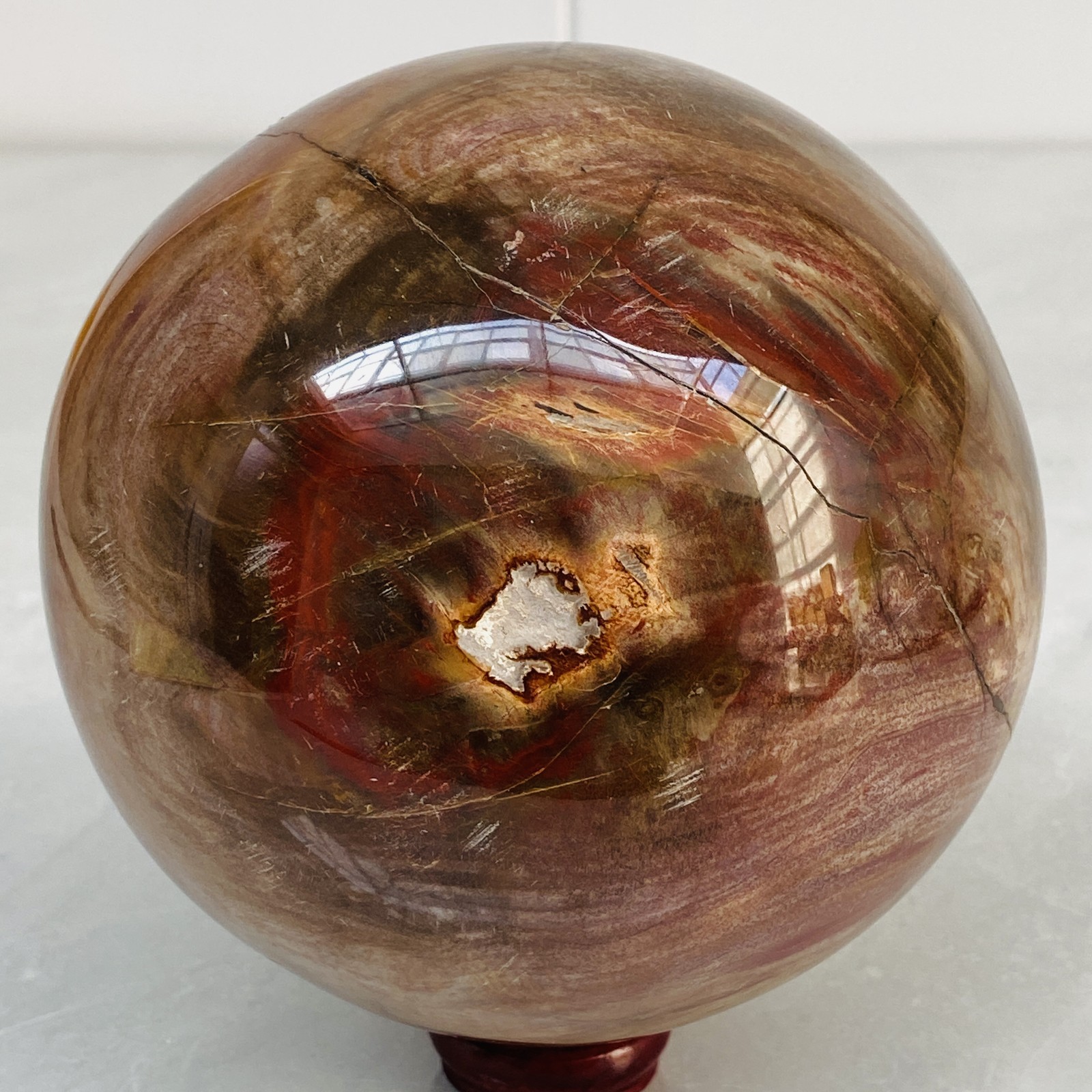 Natural Petrified Wood Polished Stone Quartz Crystal Sphere Ball Healing 2800G