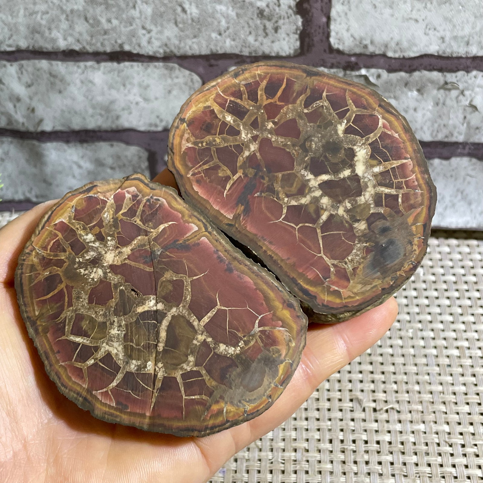 262g Natural Moroccan Turtle Back Stone Cutting Quartz Energy Spirit ab11