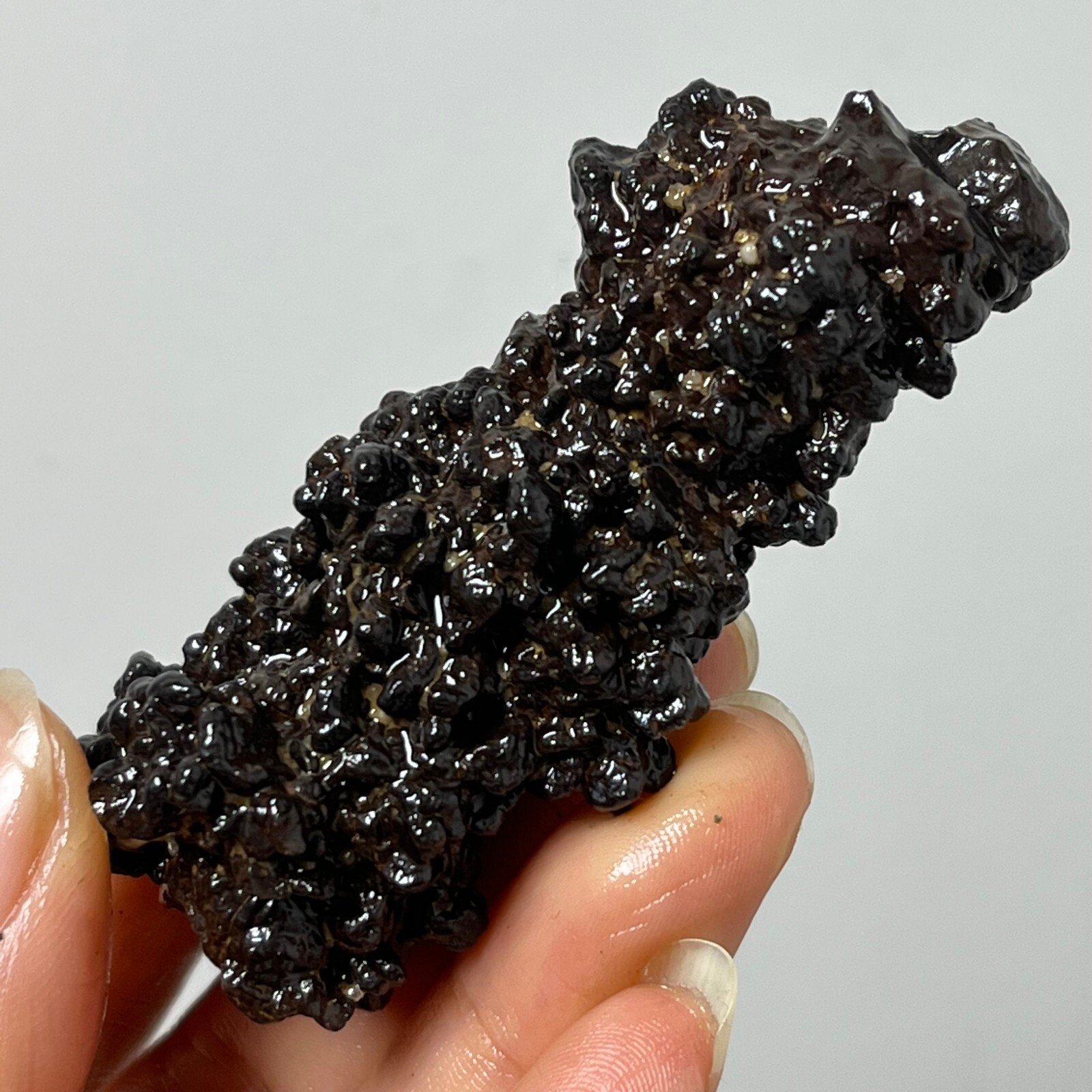 80g Limonite & Hematite pseudomorph after Marcasite – Prophecy Stone d22