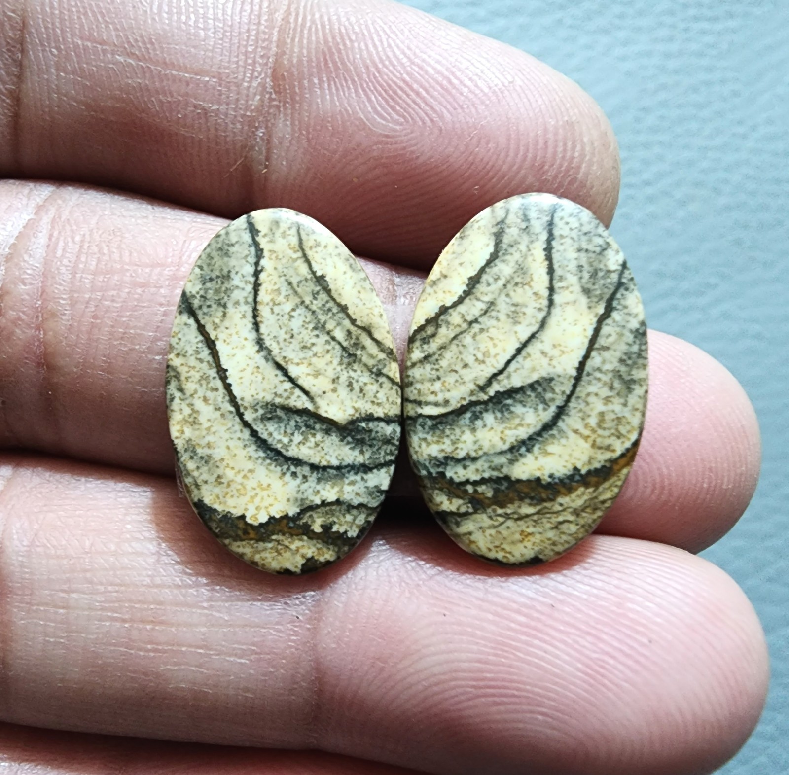 Natural Picture Jasper Matching Pair 19Ct Oval Shape Cabochon Loose Gemstone