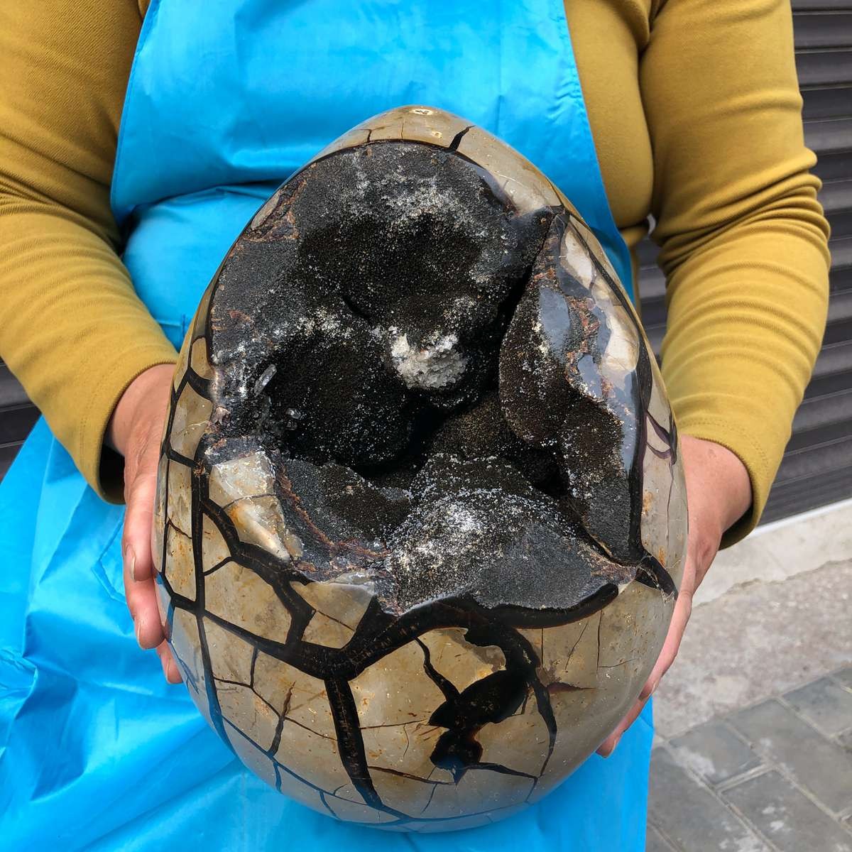 12.3KG Natural Turtle Back Stone Dragon Crystal Cave Crack Gem Healing 4350