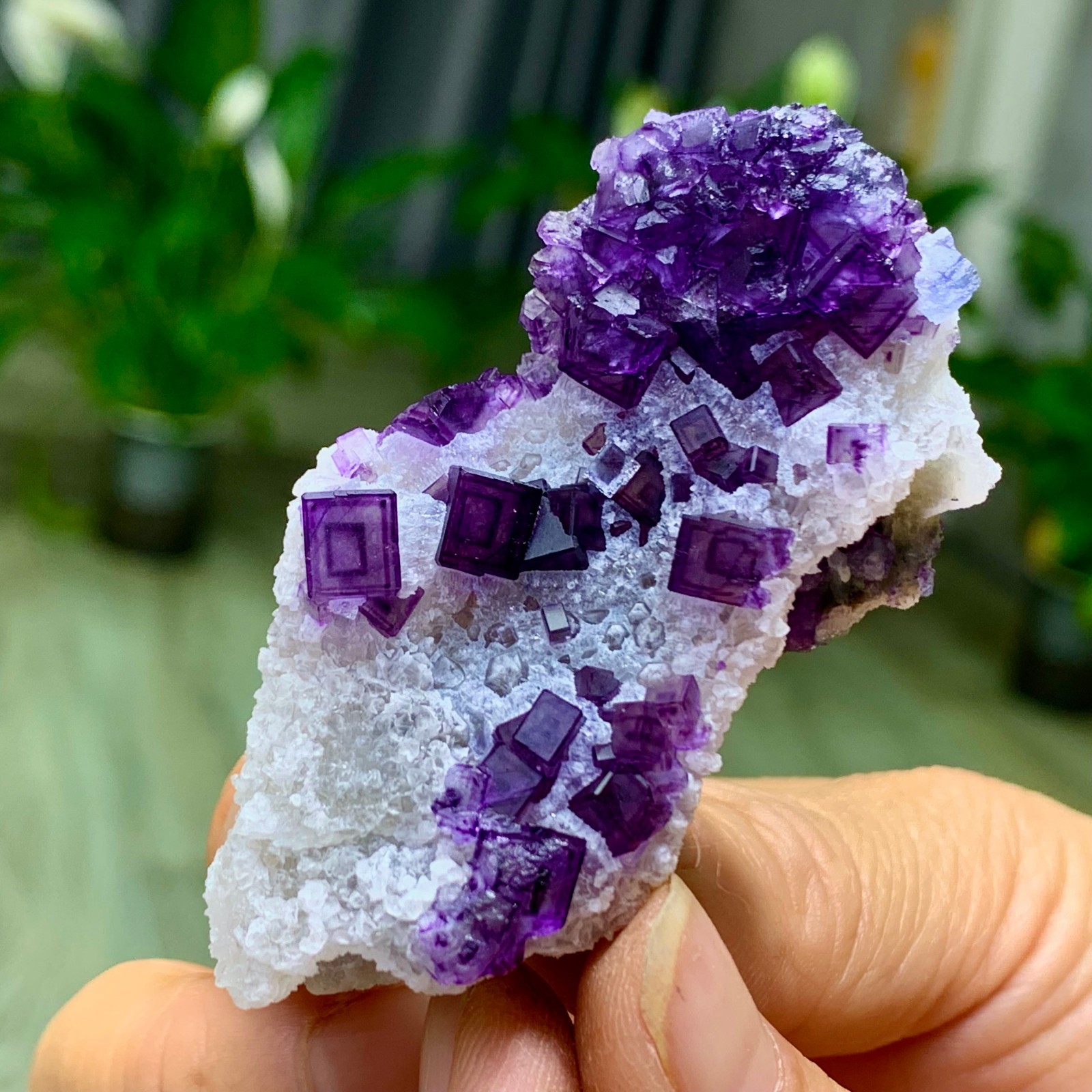 34G Rare blue purple dual color window frame fluorite mineral crystal/Zhejiang
