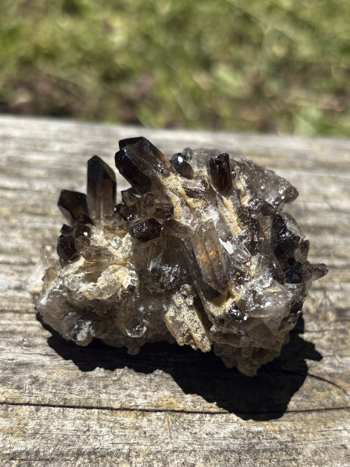 Smoky Quartz Crystal Cluster- Natural 2.1 Dark Brown Smoky Quartz Points Cluster