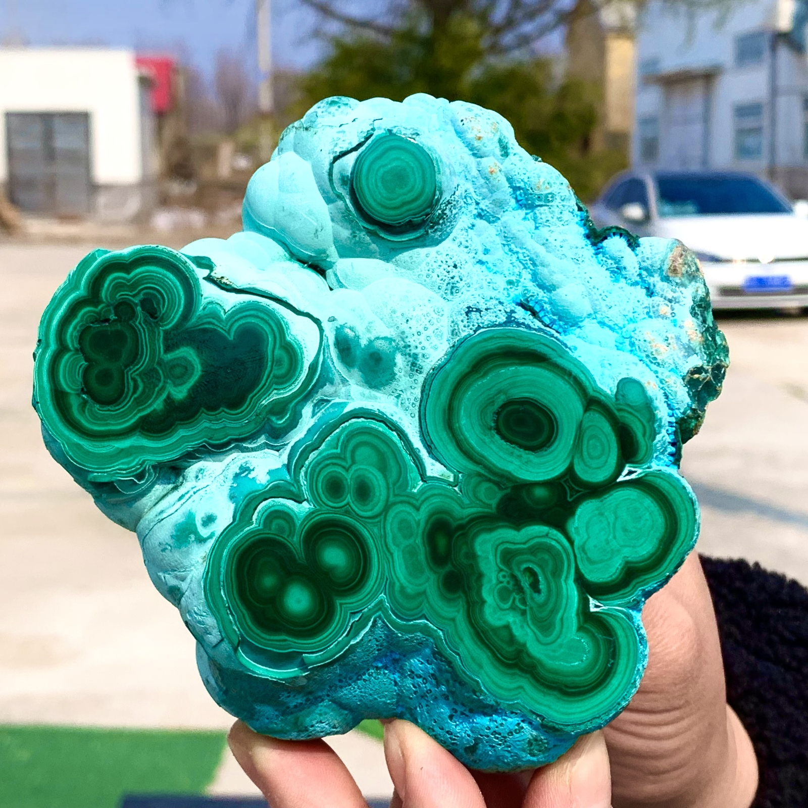 1.92LB Natural Chrysocolla/Malachite transparent cluster rough mineral sample