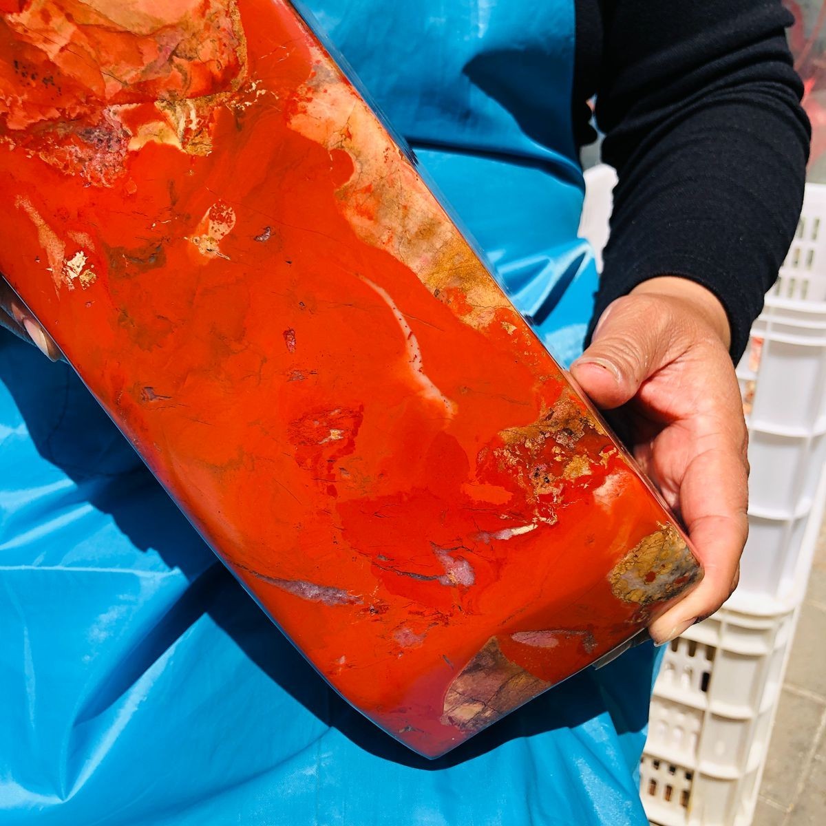16.52LB Large Natural Red Jasper ore standard Quartz Crystal Healing Sample 4422