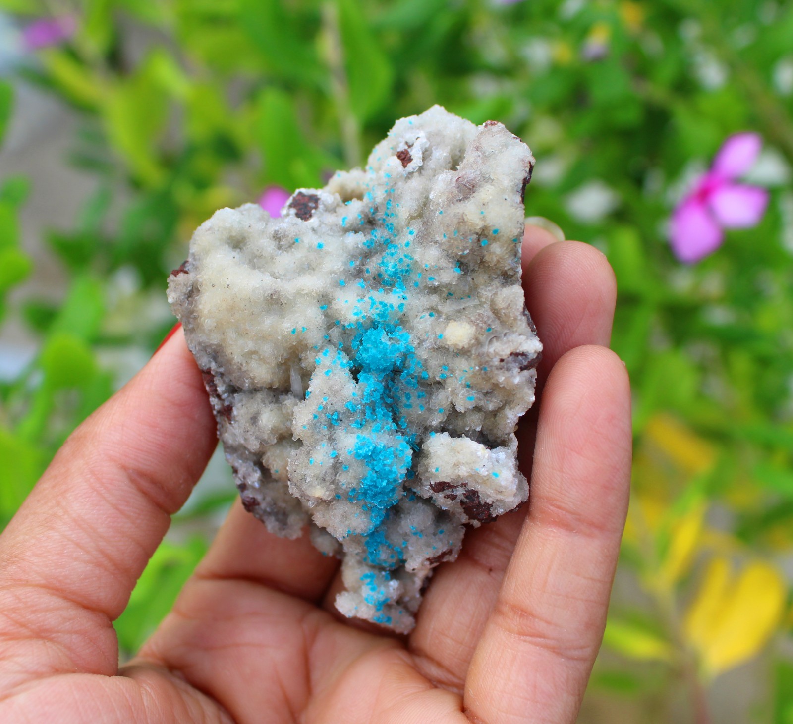 CAVANSITE TINY CRYSTALS FORMAT ON MATRIX MINERALS SPECIMEN