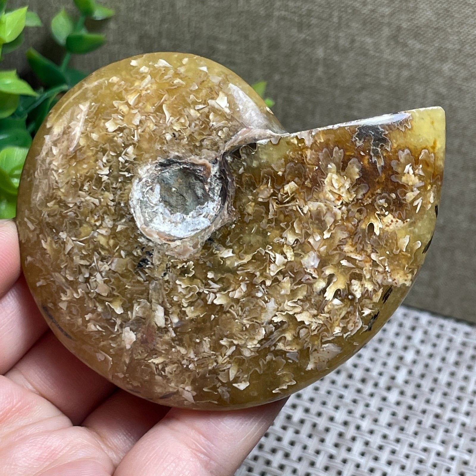 Madagascar Polishing Pretty Pattern Stone sculptor decoration 112g