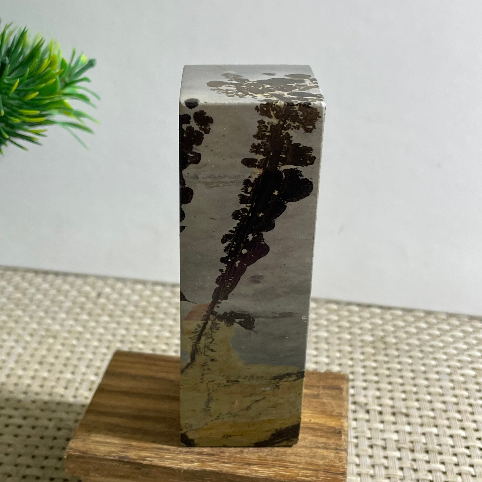 216g Beautiful Chinese Dendritic Limestone Picture Stone Guohua – Rare