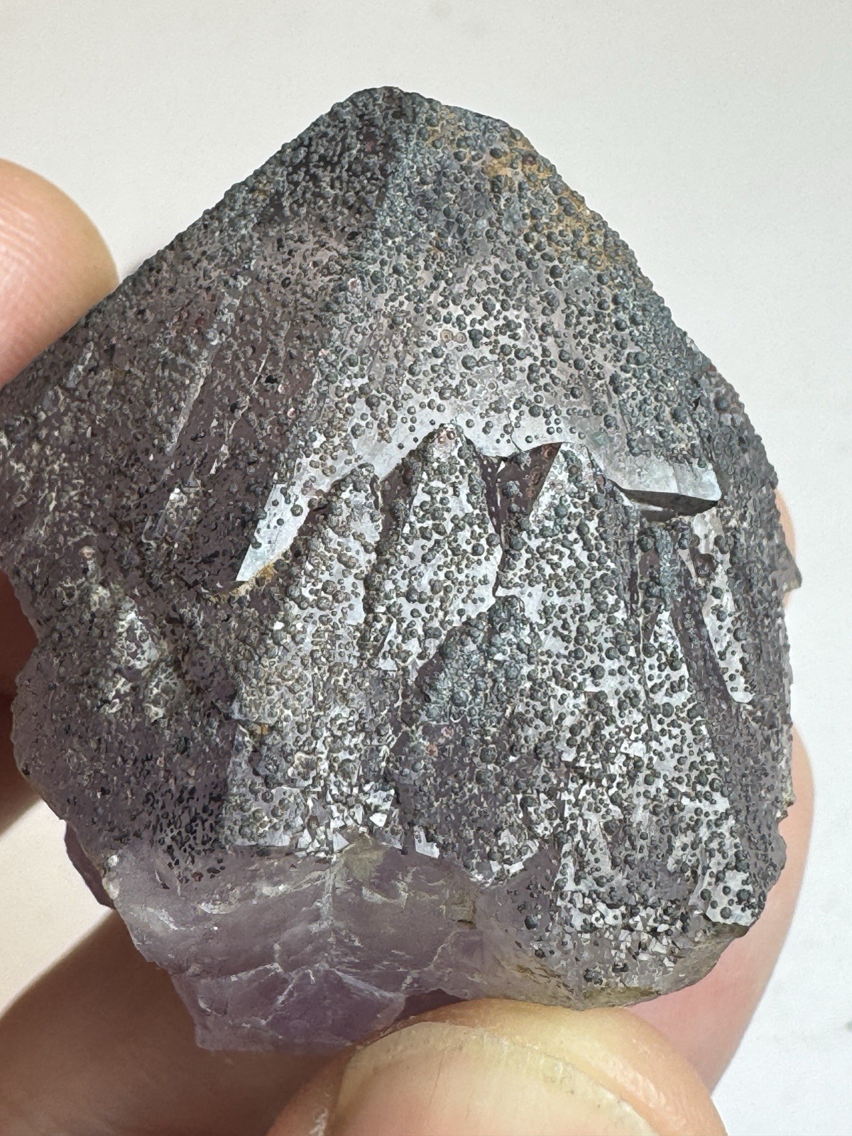 4 Piece Collection of Boreal Amethyst Auralite23 Genuine Crystals from Canada