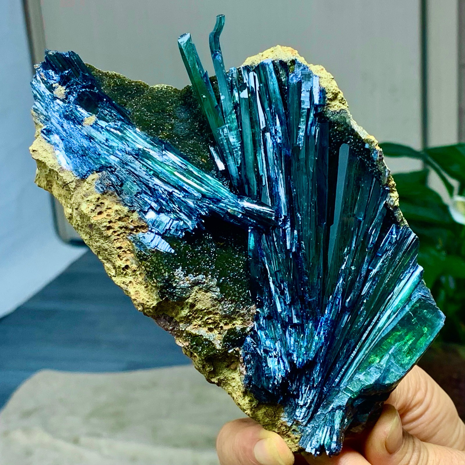 1.39LB Natural Vivianite ludlamite Quartz Crystal Mineral Samples /Brazil