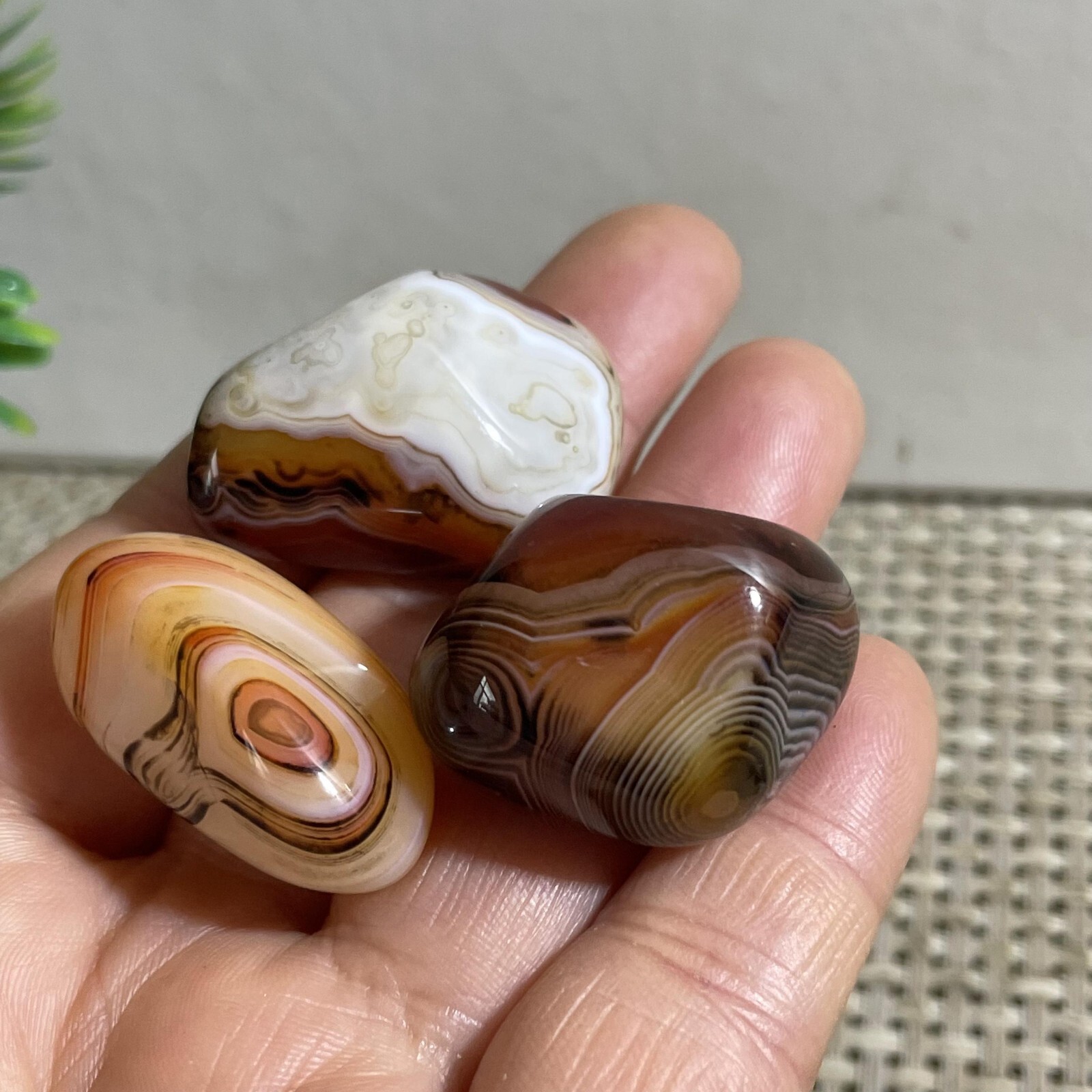 3pc 44g Crazy Lace SILK Banded Agate Polish Tumbled Stone Madagascar