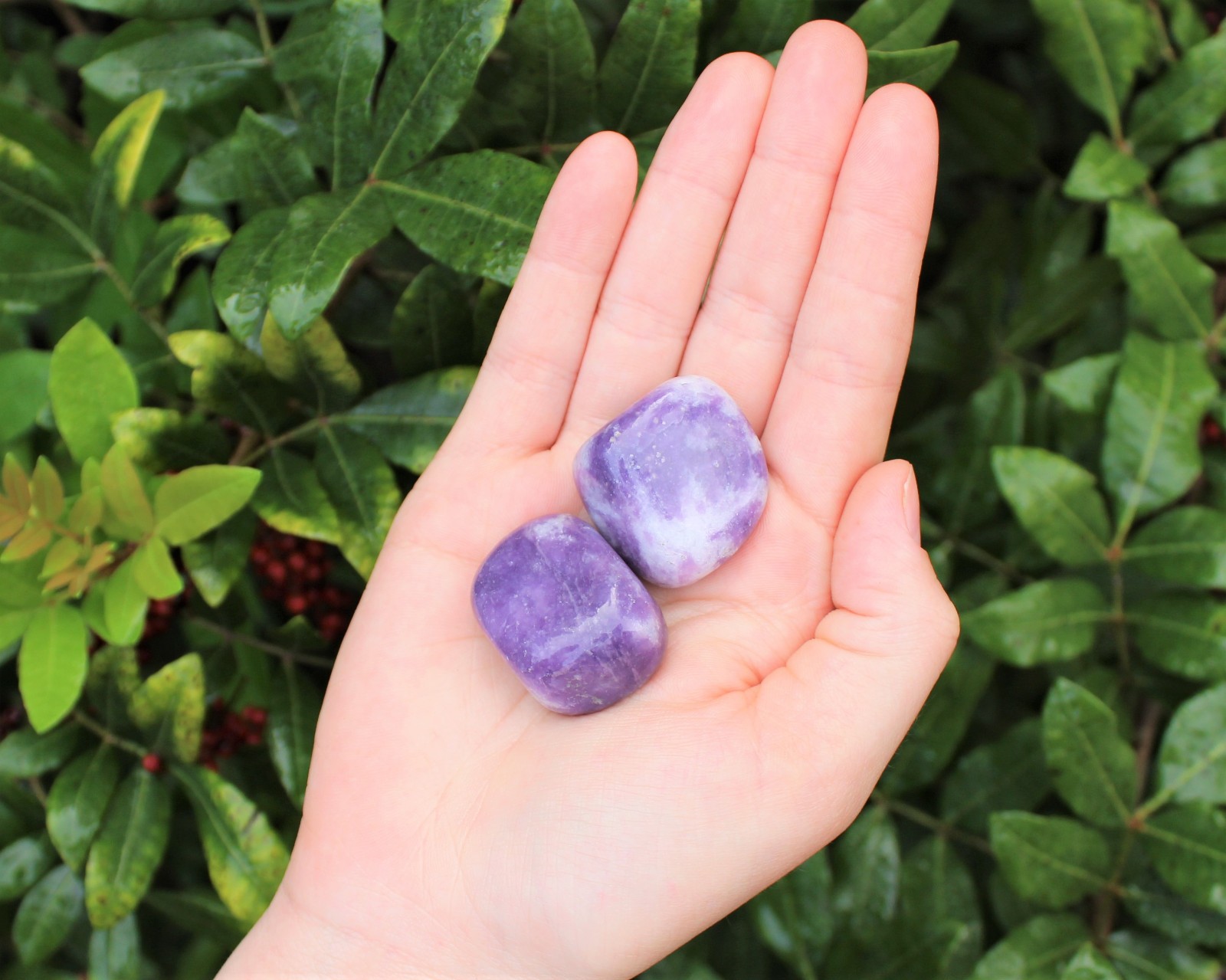 Lepidolite Tumbled Stones: Choose How Many (‘A’ Grade Lepidolite Crystals)