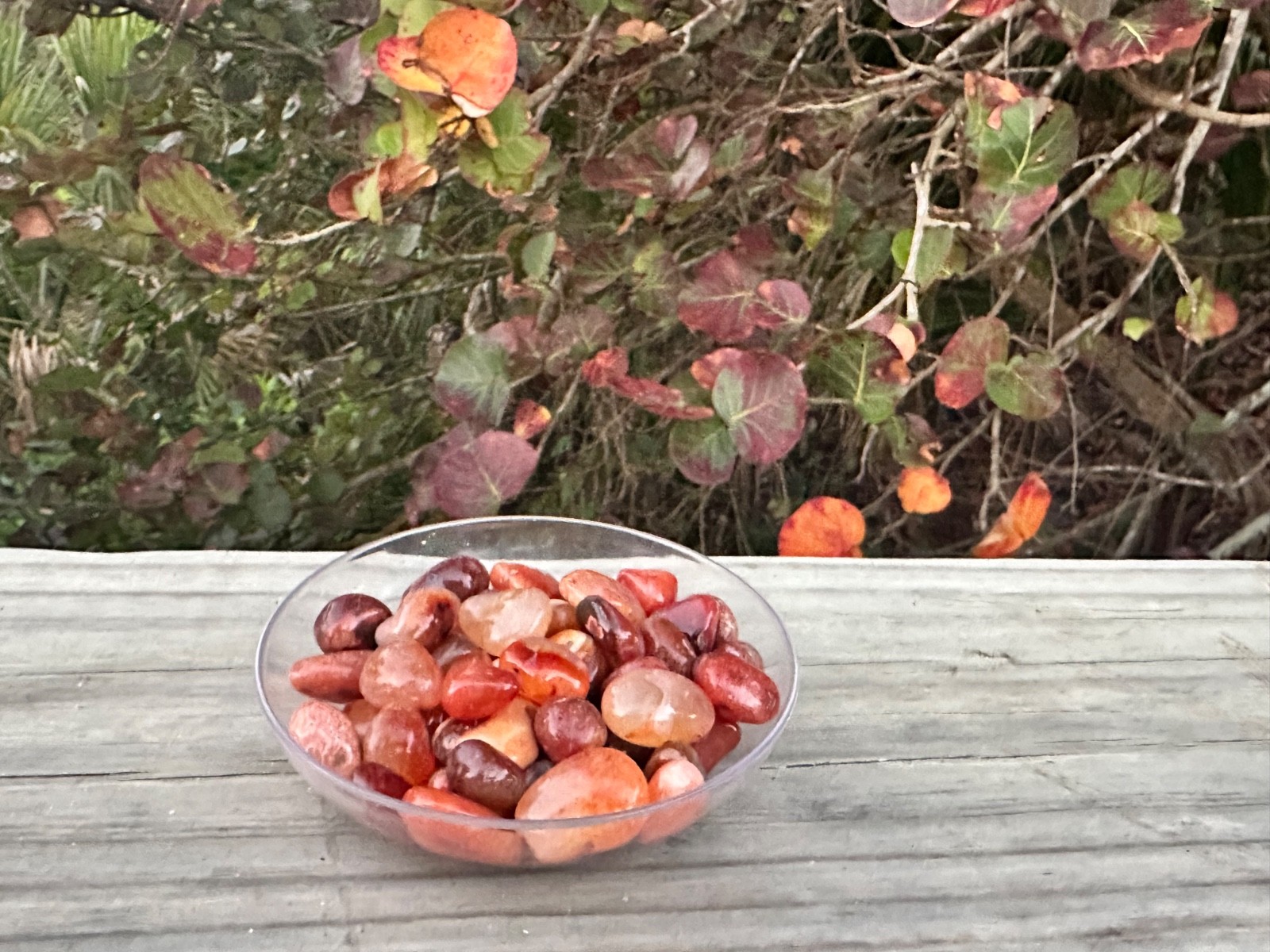 1/2 lb Carnelian Tumbled Stones – Bulk Polished Orange Crystals Lot (8 oz)