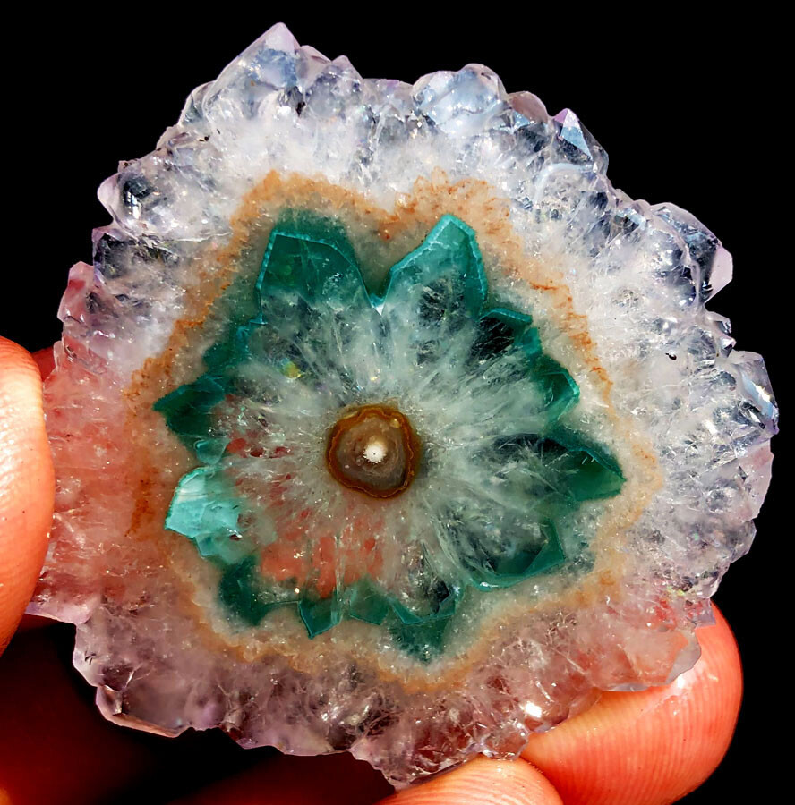 117CT WOW! Boutique Natural Trapiche Star Green Amethyst Flower Specimen ip1374