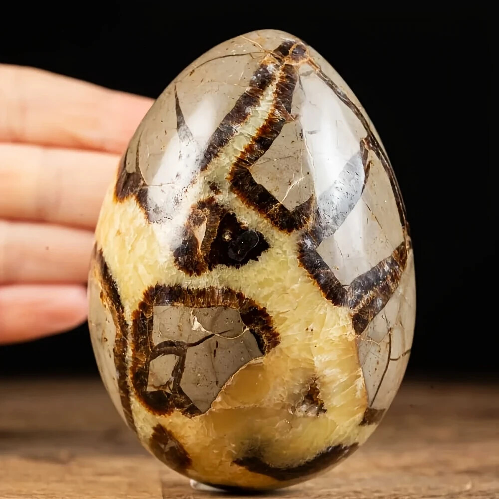 1pc Stunning Septarian Dragon Quartz Crystal Geode Egg Stone Collectors Art Gift