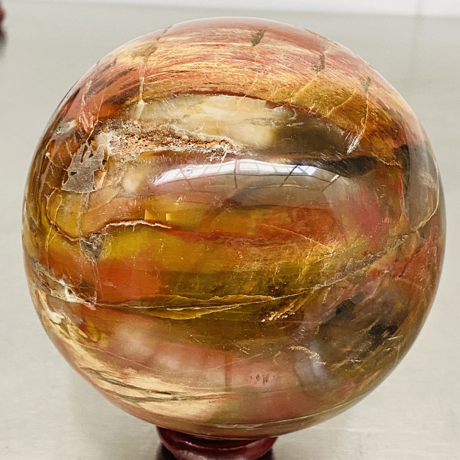 Natural Petrified Wood Polished Stone Quartz Crystal Sphere Ball Healing 1540G