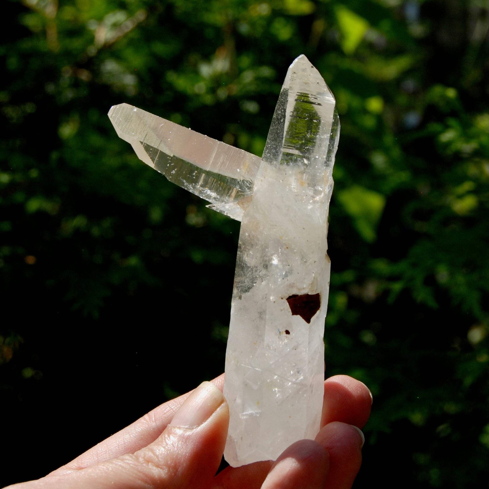 Lemurian Quartz Crystal Starbrary – 4in 106g Tantric Twin Flame Record Keeper, C