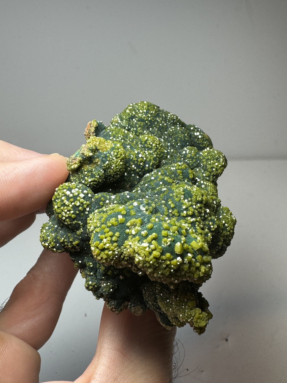 RARE Pyromorphite on Malachite Crystal – Rum Jungle Australia Mineral Specimen