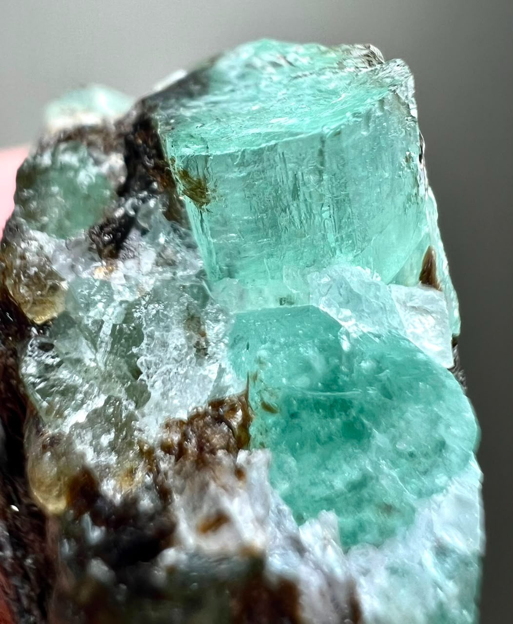 68CT, Beryl Var!Top Green Full Terminated Natural Emerald Crystals on Black Mica