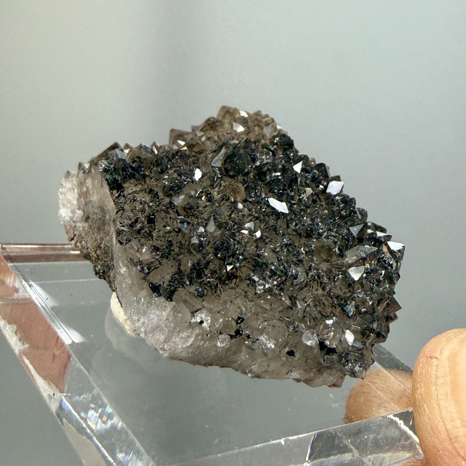 Herkimer Diamond Black + Gray Druze, Gemmy Points w/ Hydrocarbon, Rare Matrix