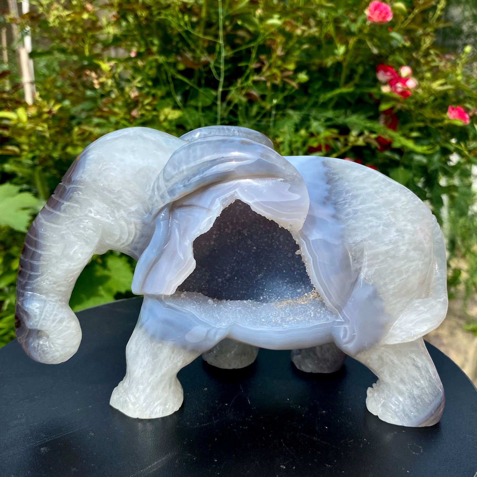 3.96LB Natural agate geode quartz crystal engrave Elephant skull healing gift de
