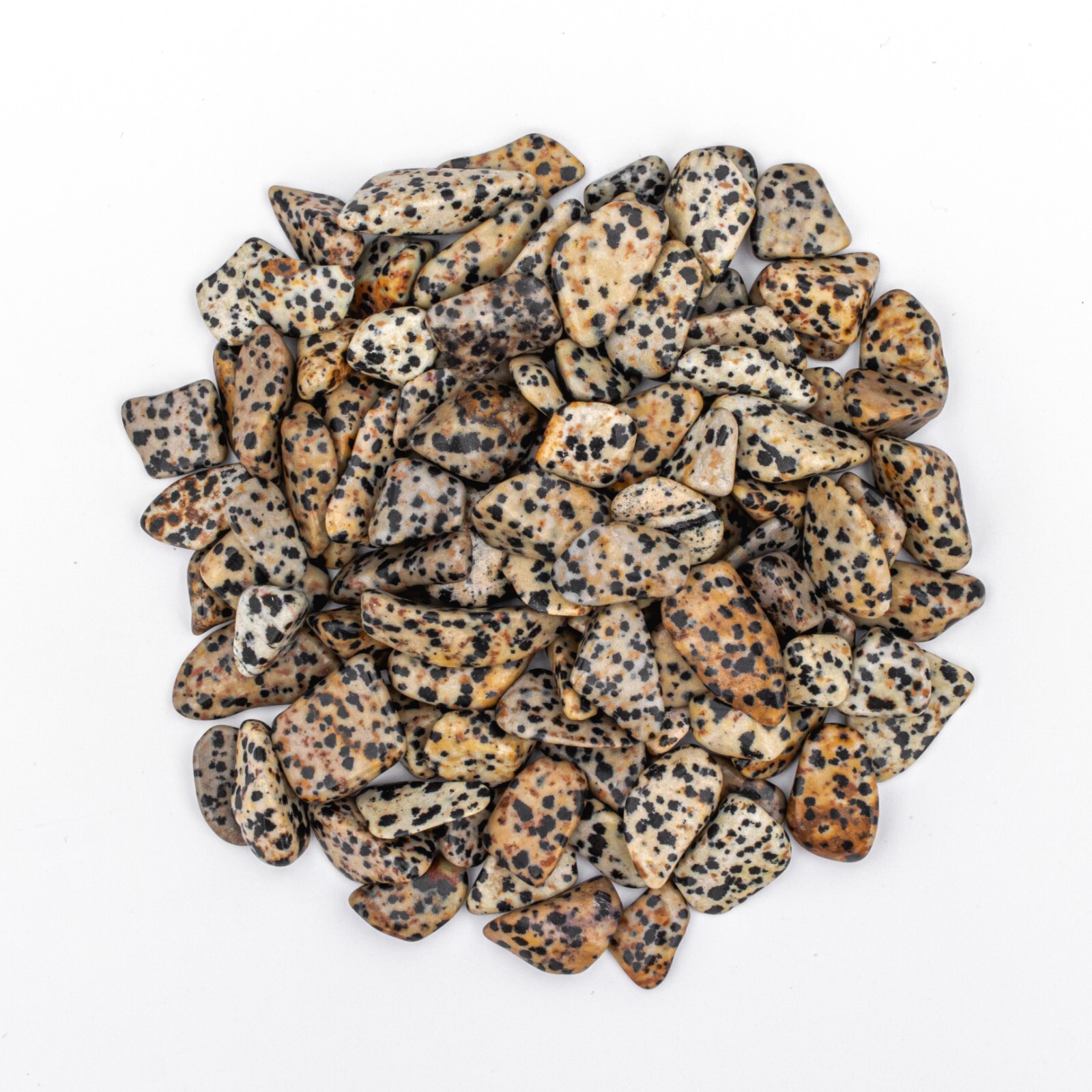 1/2 lb Tumbled Dalmatian Jasper Gemstone Crystals 90-115 Stones Bulk Gems