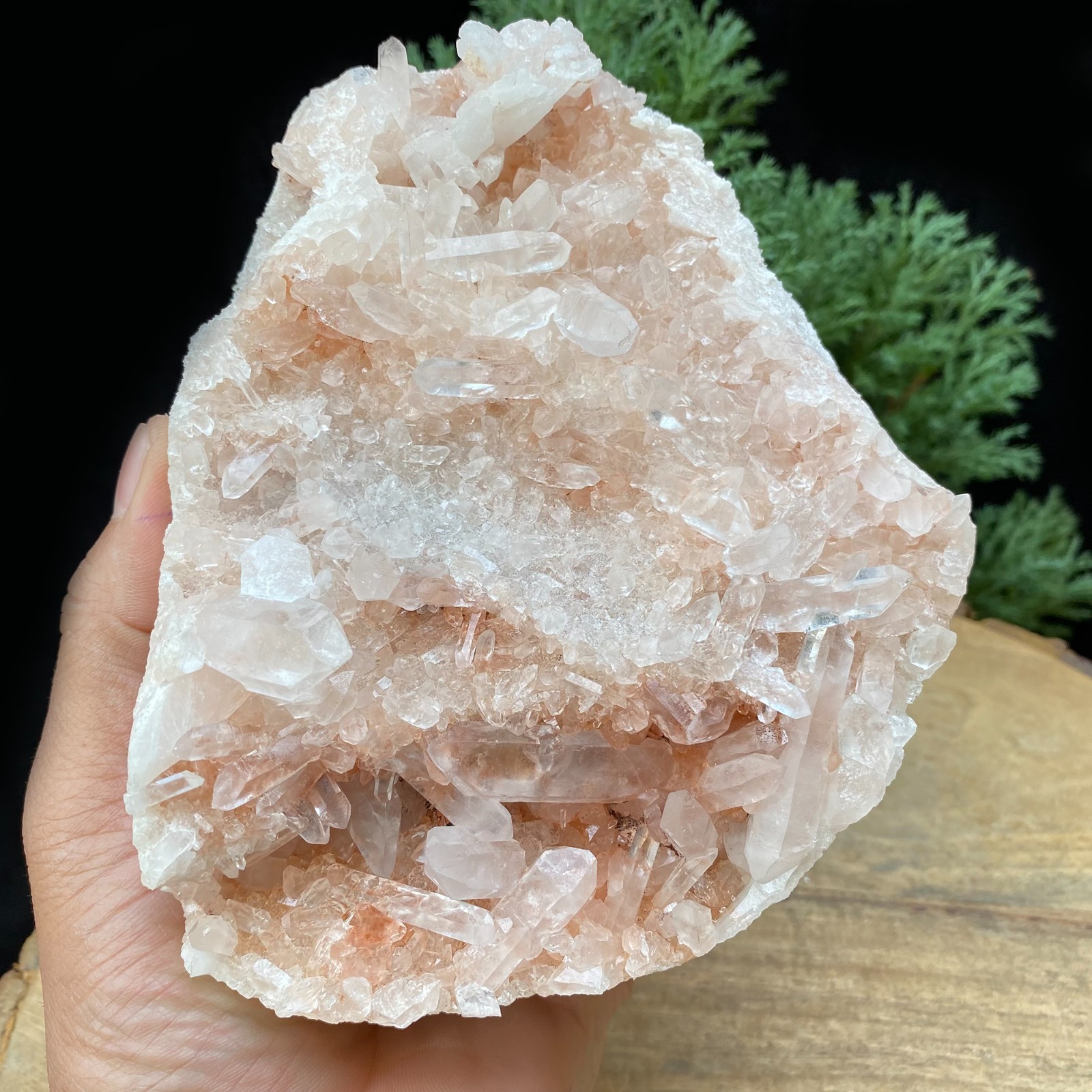 1.99 lbs Himalayan pink samadhi quartz AAA+ Cluster Healing Specimen From India