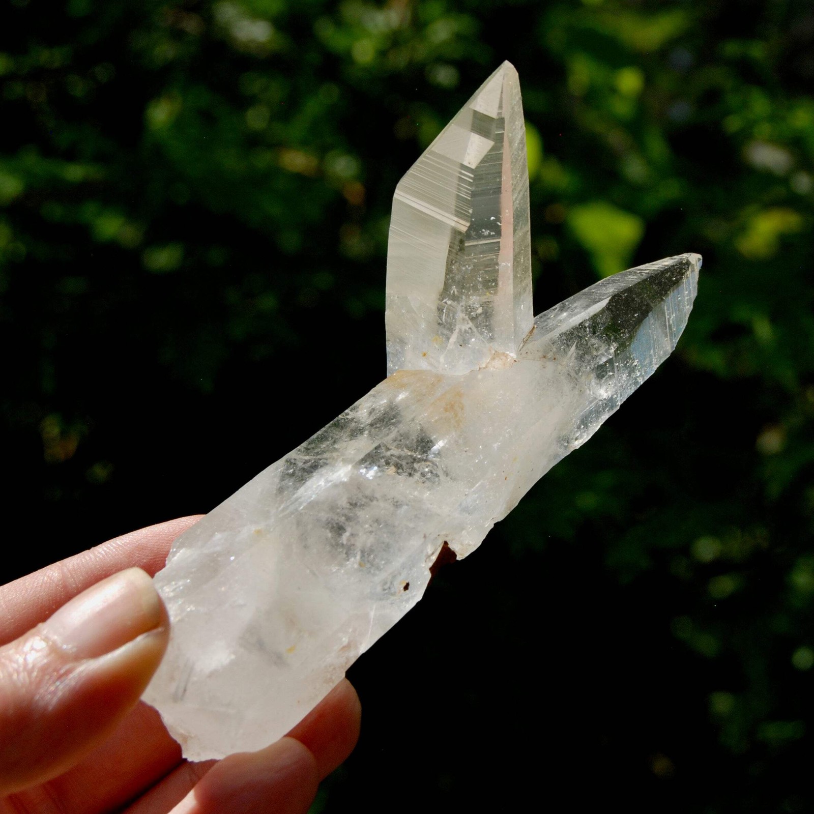 Lemurian Quartz Crystal Starbrary – 4in 106g Tantric Twin Flame Record Keeper, C