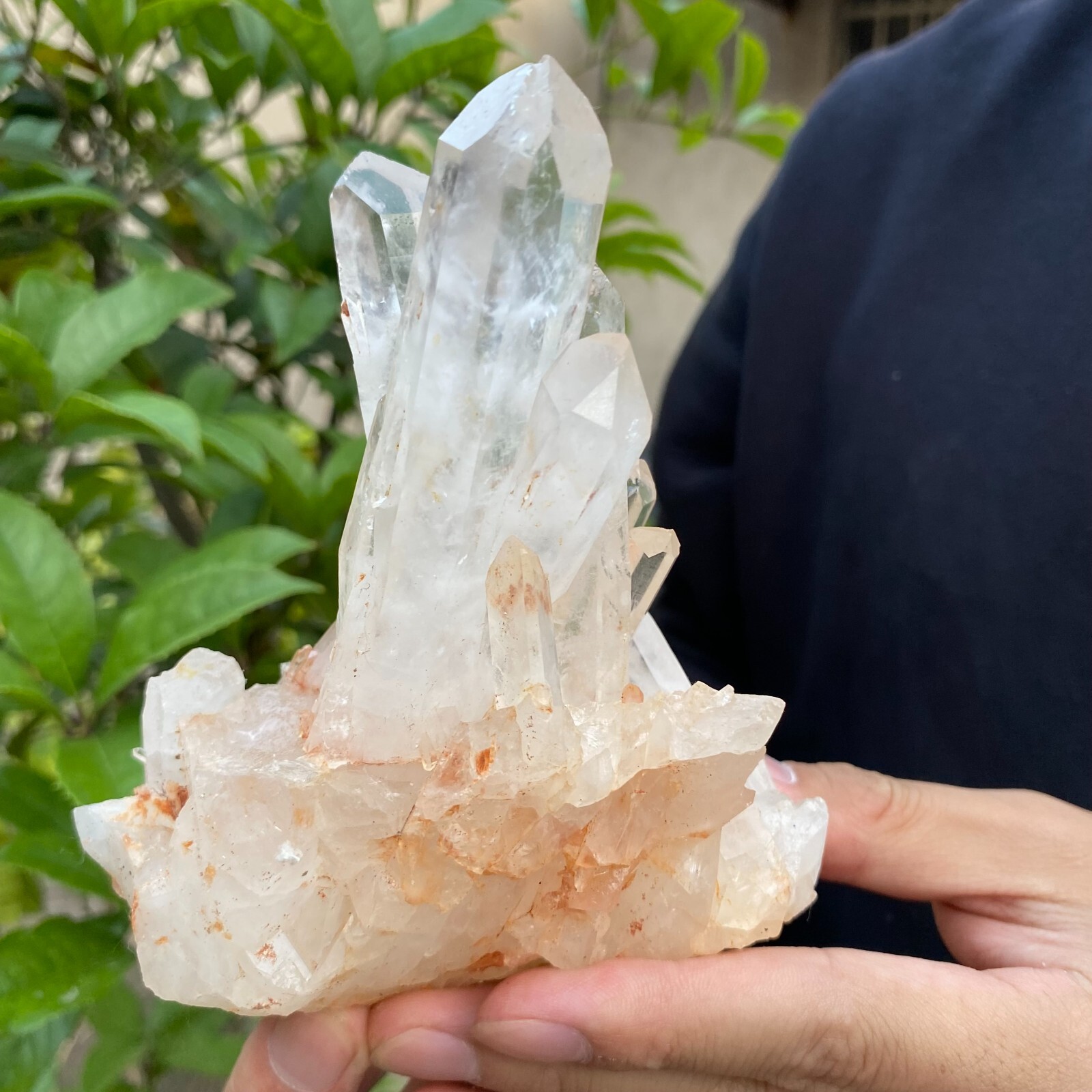 1.2lb Natural Clear White quart Crystal Cluster Raw Healing Specimen