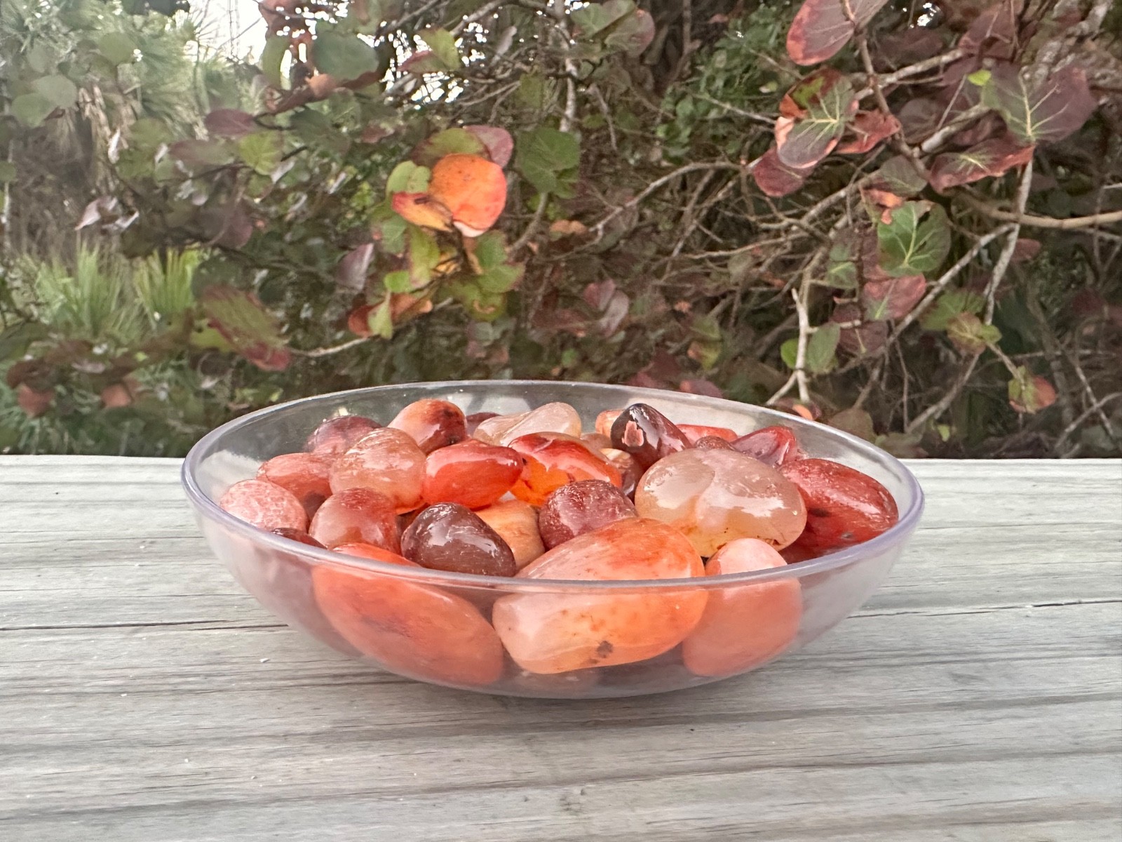 1/2 lb Carnelian Tumbled Stones – Bulk Polished Orange Crystals Lot (8 oz)