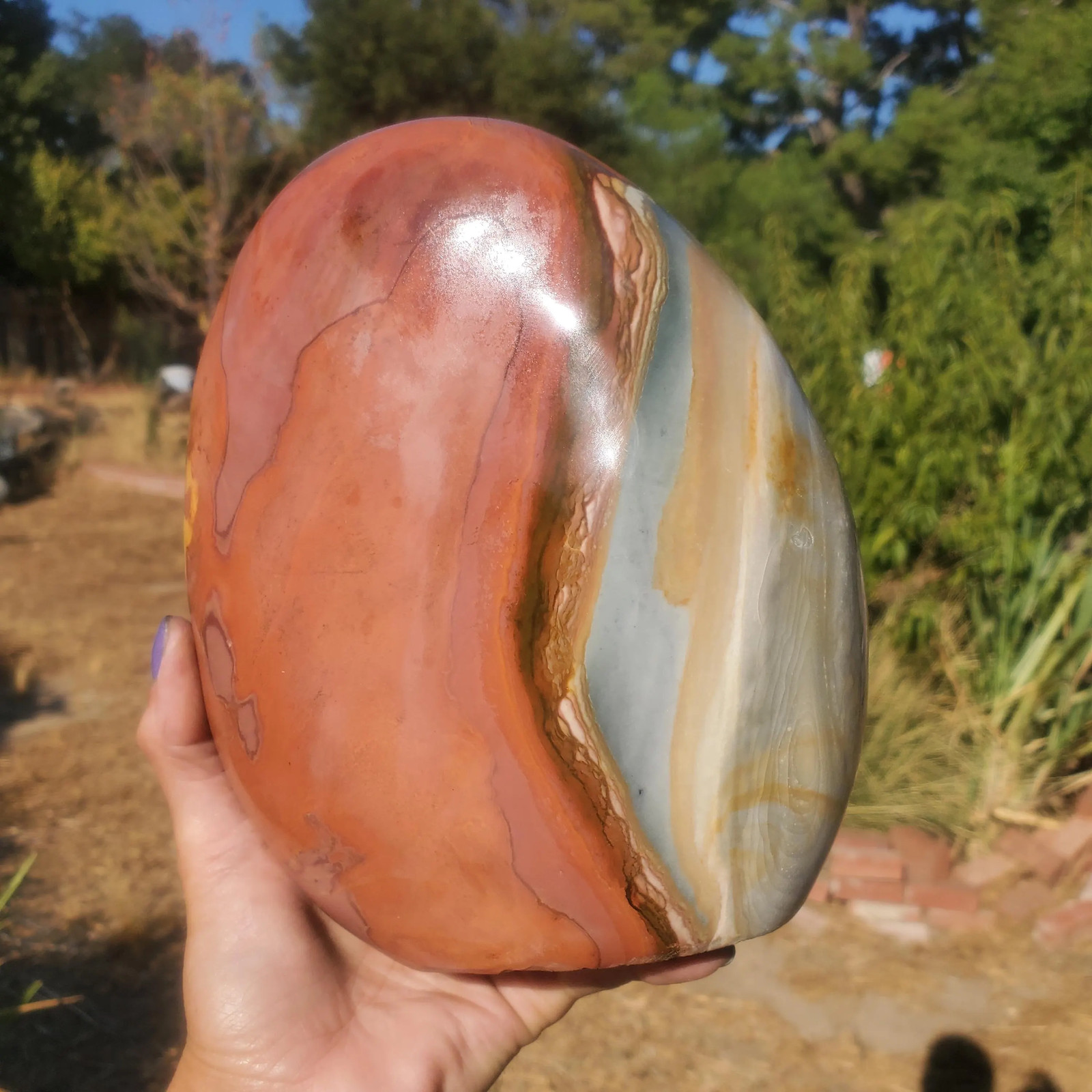Polychrome Freeform Jasper Free-Standing Healing Crystal 3340 grams l 7lbs 6oz