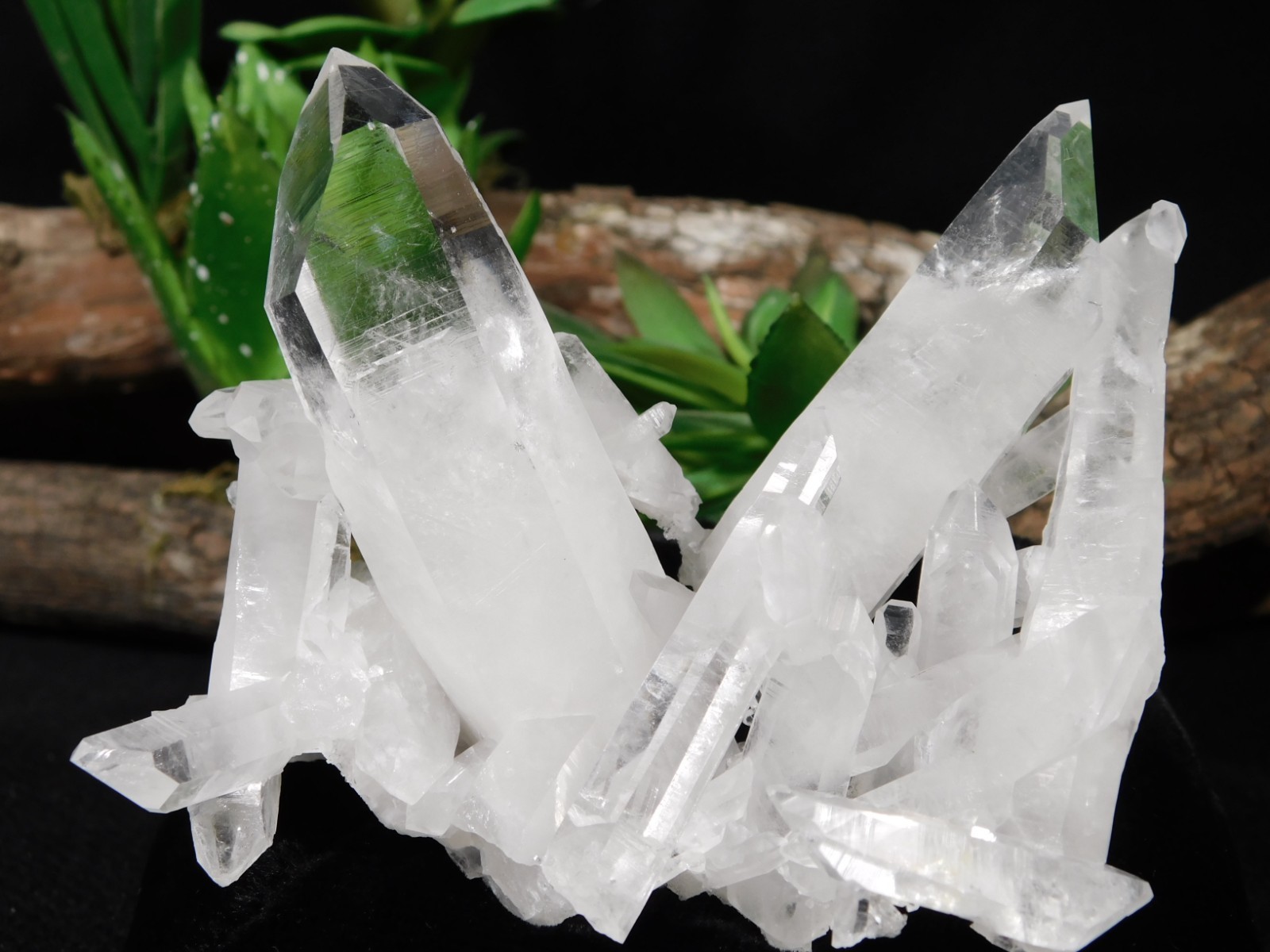 Larger! VERY TRANSLUCENT Quartz Crystal Cluster Collier Creek ARKANSAS 150gr
