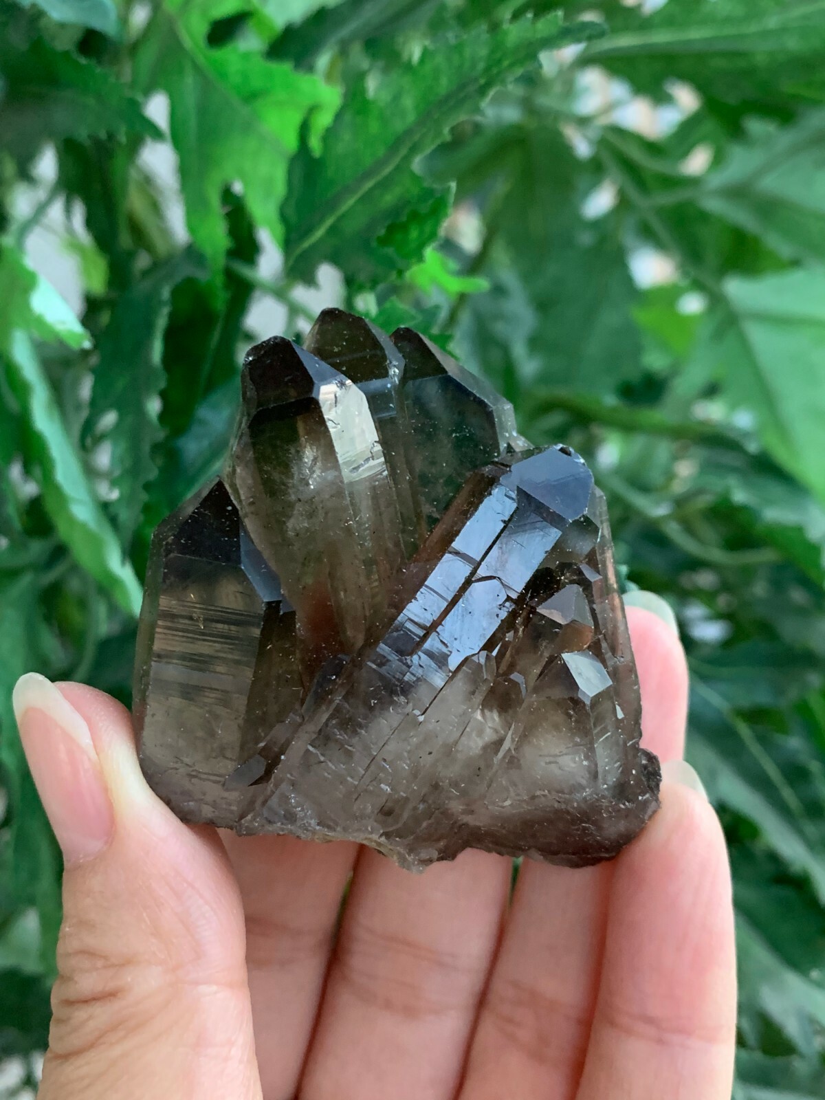 Grade A++ Smoky Quartz Cluster, 1.5-3 Inch Smoky Quartz Crystals, Pick A Size