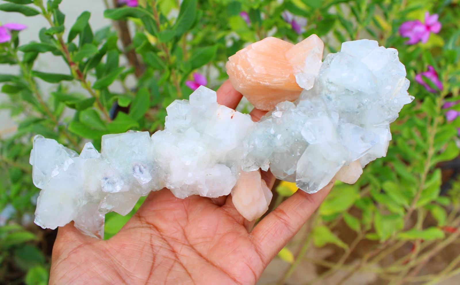 Apophyllite Crystals w/ Stilbite Formation Minerals Specimen ( 20×7 ) REPAIR