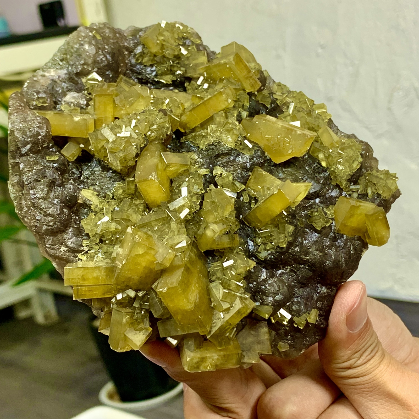 2.76LB Shiny Golden Cuboid Barite Crystal Based on the Purple Spherical Fluorite