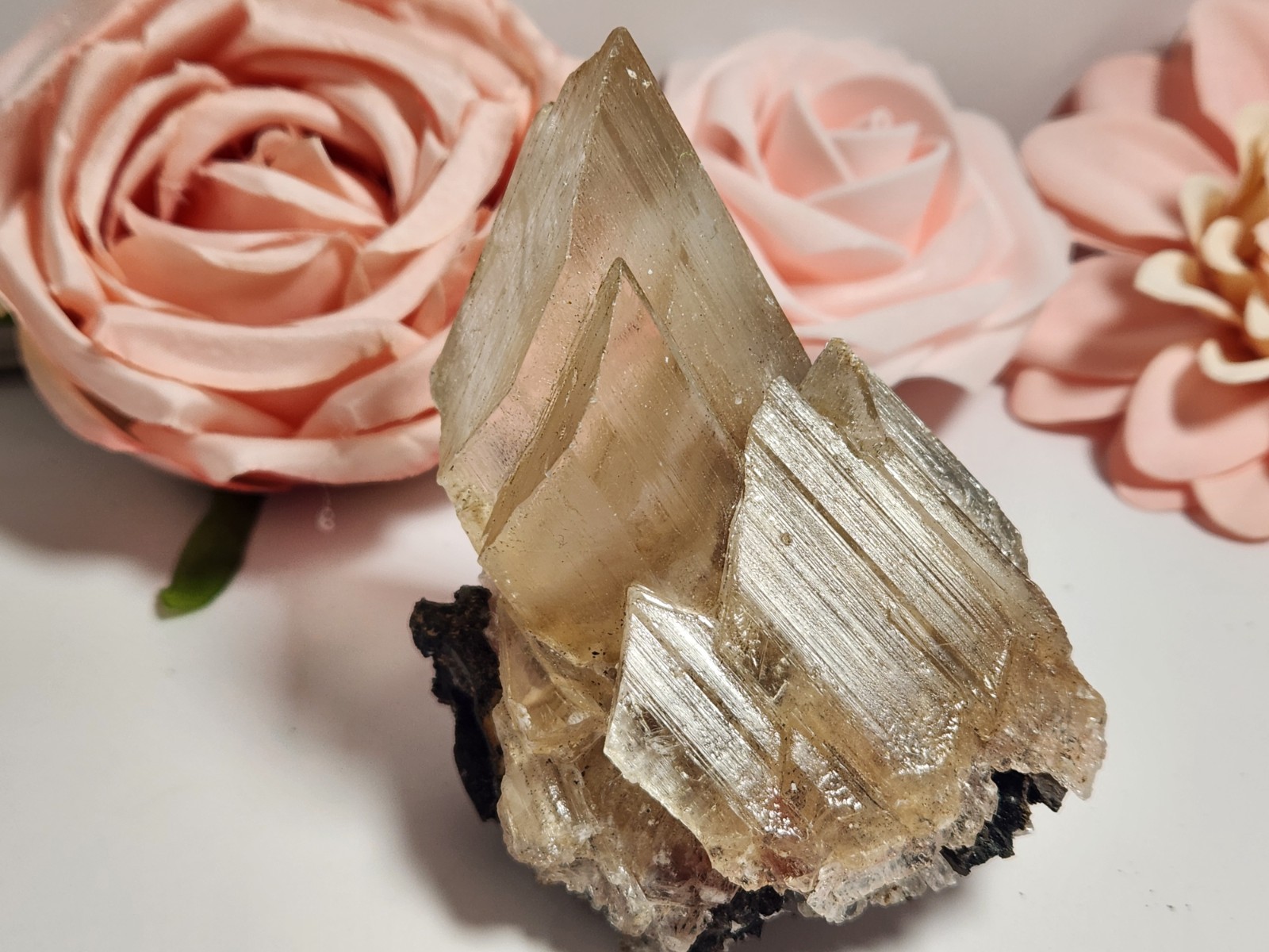 Naicia Selenite Crystal 188g Mineral Specimen Mexico 3.5×2.5×2 Inches Z5