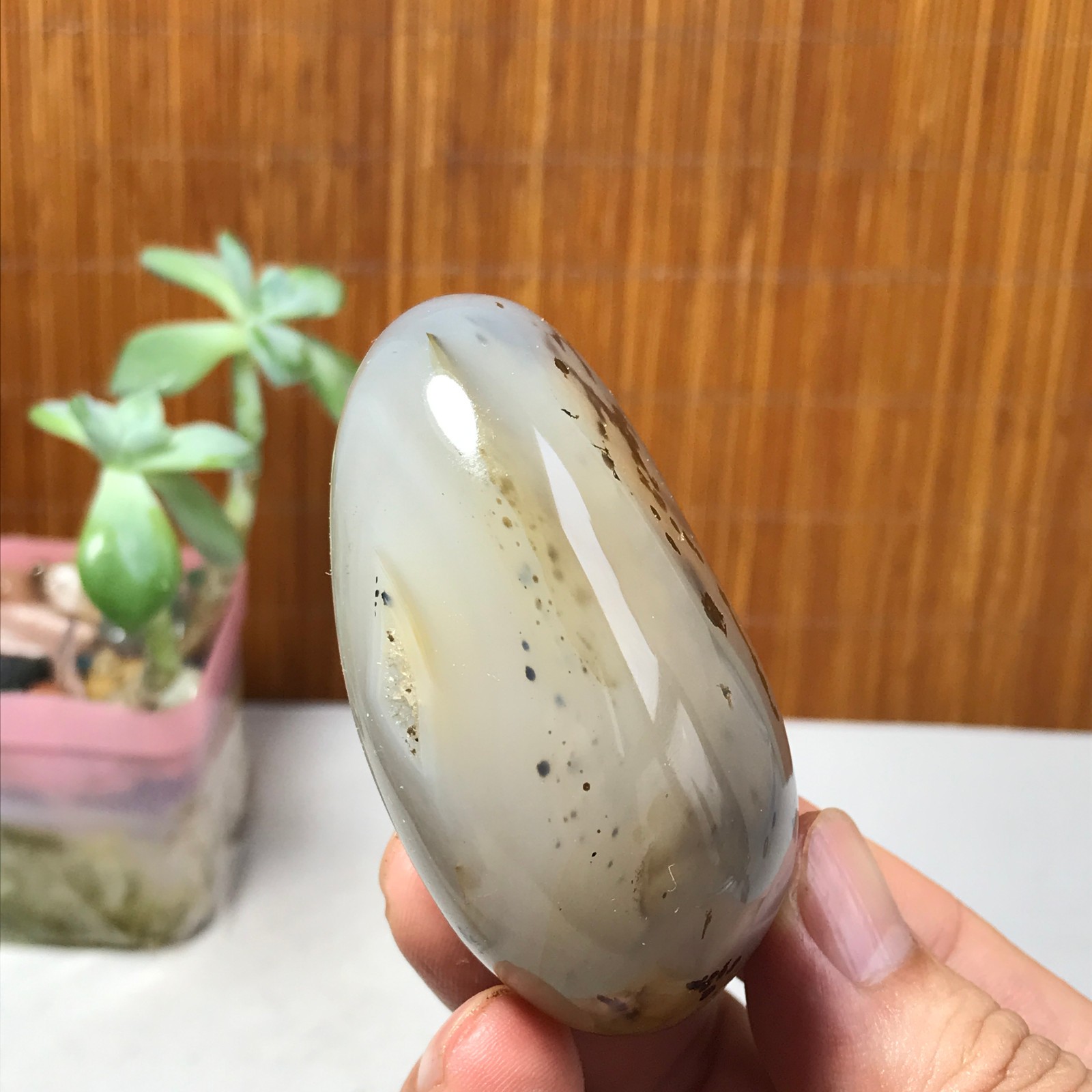 67mm Natural aquatic plants agate pretty Crystal specimens 142g A1633