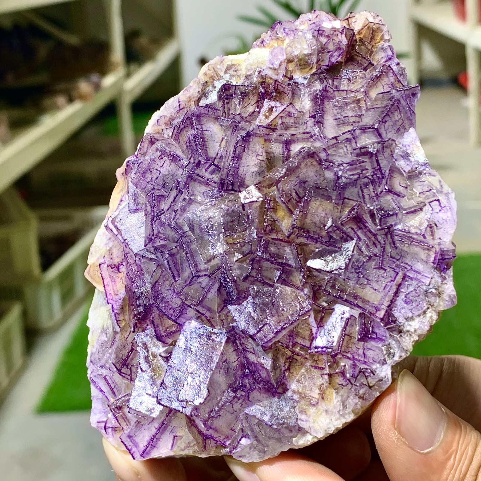 443G Inner Mongolia Natural Fluorite Purple Edged Cube Crystal Mineral Specimen
