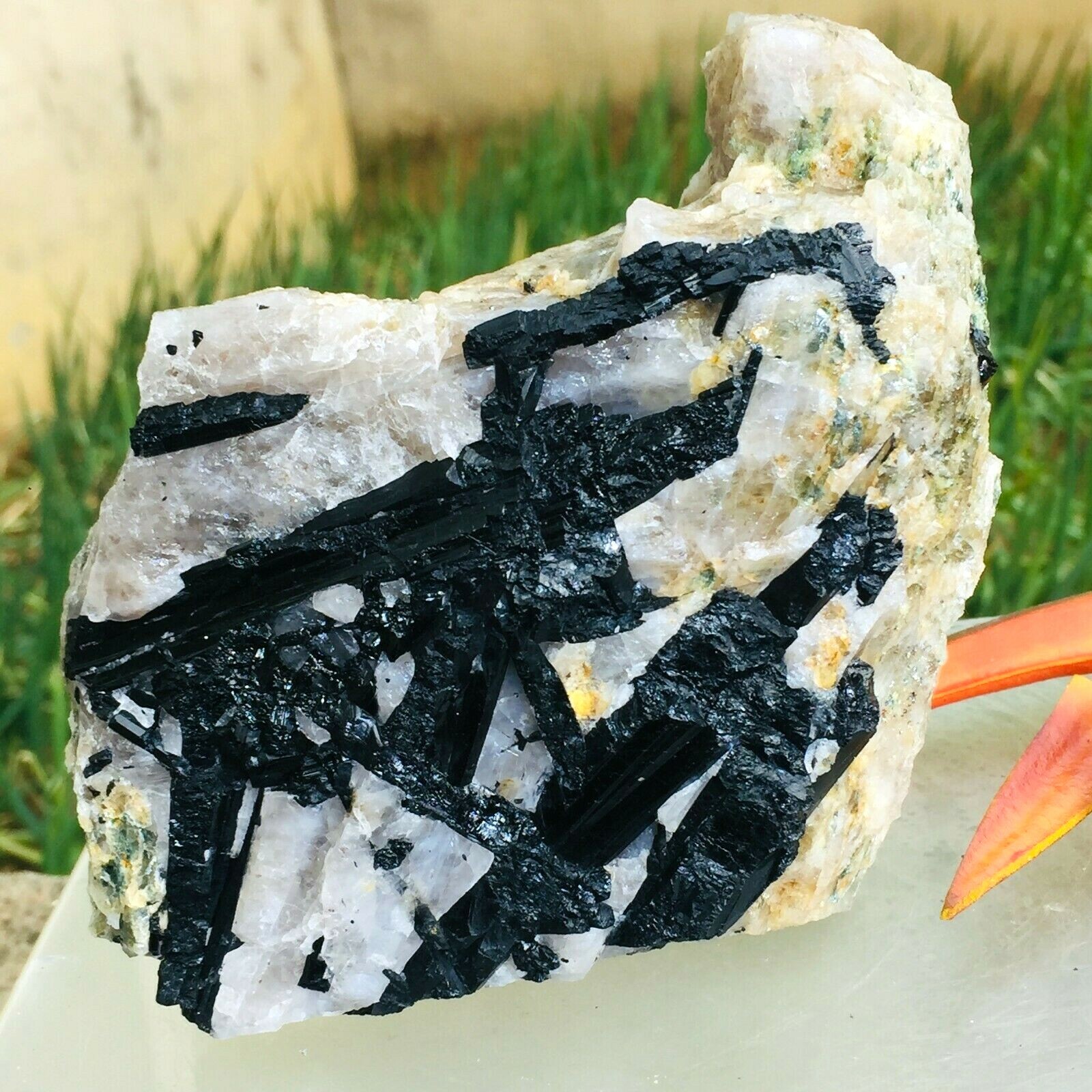 1000g Natural Black Tourmaline Quartz Crystal Mineral Rough Specimen Healing