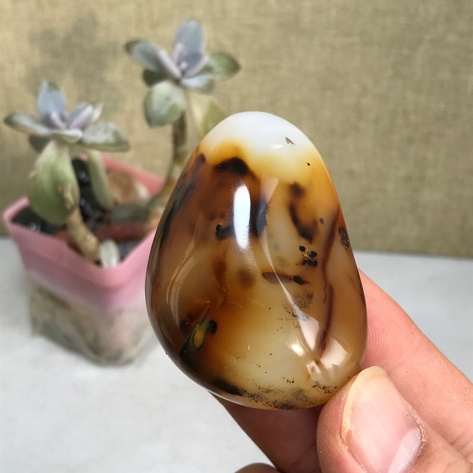 54-38-27mm Natural aquatic plants agate pretty Crystal specimens 79g A2379