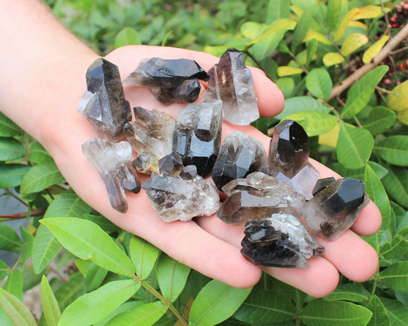Mini Smoky Quartz Crystal Clusters, Points and Pieces (Wholesale Bulk Crystals)