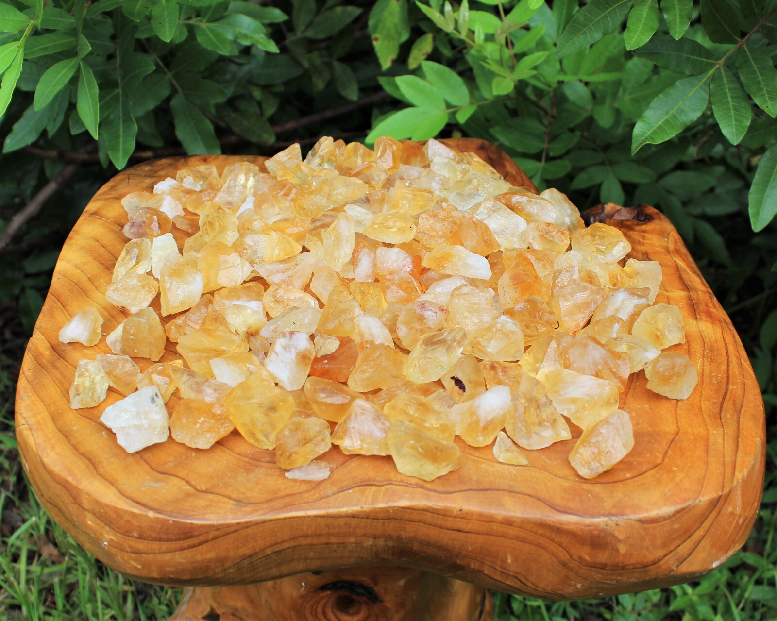 Rough Citrine Crystals CHIPS: 1000 Carat Lot Raw (Loose Crystals 200 Grams)