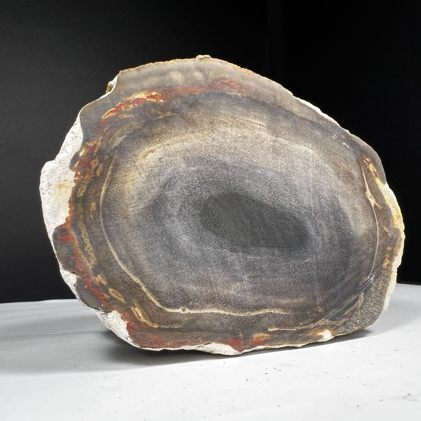 151GR MULTY COLOR PETRIFIED WOOD SLICE PATLY POLISHED FROM INDONESIA