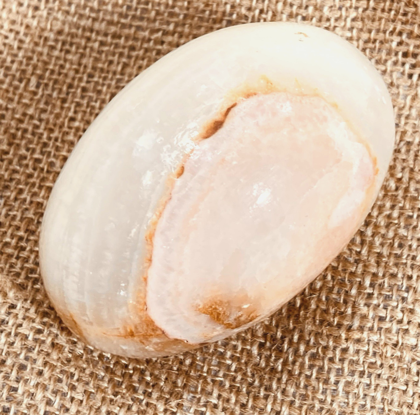 Egg Shaped Polished Aragonite & Agatized Gem-Healing Stones, Set of 4, 2.5 – 3″