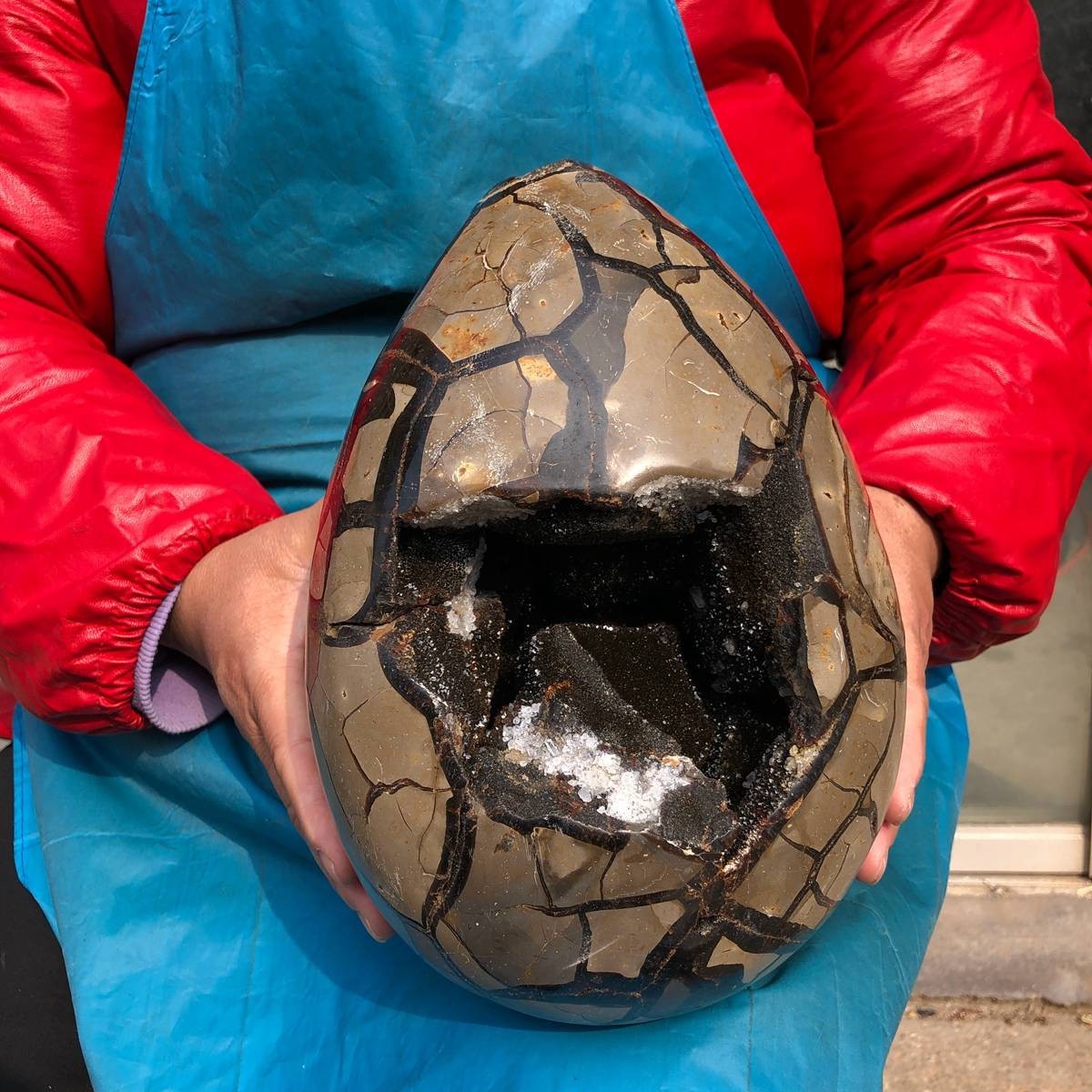 8410g Natural Dragon Septarian egg Quartz Crystal geode decoration