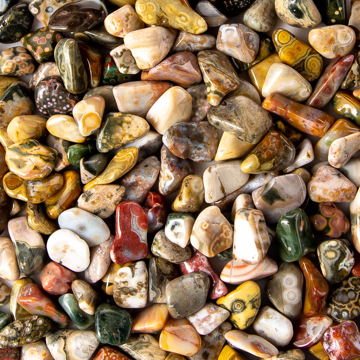 1/4 lb Tumbled Ocean Sea Japer Gemstone Crystals 35-55 Stones Gem Rock Specimens
